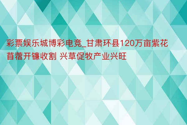 彩票娱乐城博彩电竞_甘肃环县120万亩紫花苜蓿开镰收割 兴草
