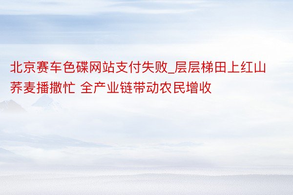 北京赛车色碟网站支付失败_层层梯田上红山荞麦播撒忙 全产业链